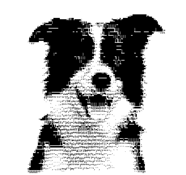 DigitalDawg Brewing Logo